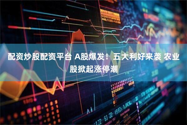 配资炒股配资平台 A股爆发！五大利好来袭 农业股掀起涨停潮